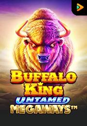 Buffalo King Untamed Megaways