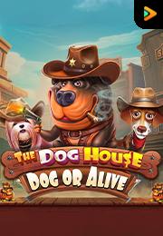 Bocoran RTP The Dog House - Dog or Alive di BENTO188 Generator RTP SLOT GACOR 4D Live Dengan Pola Akurat Dan Lengkap