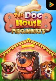 The Dog House Megaways